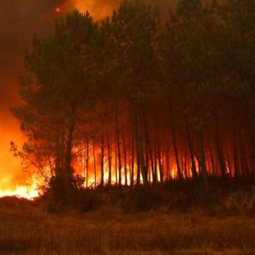 7a3017f5-648c-4d40-a4fb-90791f2b0561 Les feux convectifs en France : une menace croissante due au réchauffement climatique