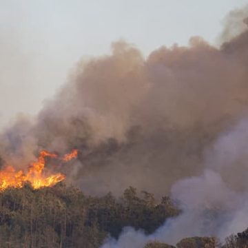 7d79a70d-bf52-4c9d-8bd7-7f903605ed9e Incendie en Espagne: Plus de 2.000 hectares brûlés près de la Costa Brava