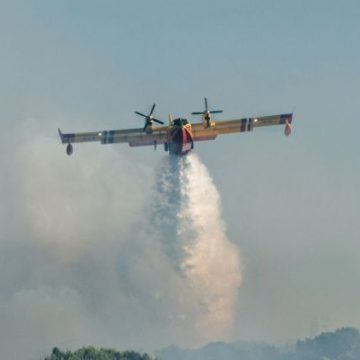 Mobilisation Massive pour Combattre un Incendie Dévastateur dans les Pyrénées-Orientales