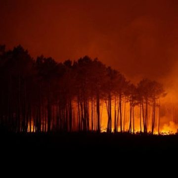 Les incendies en Gironde et dans le Var : état des lieux et mesures
