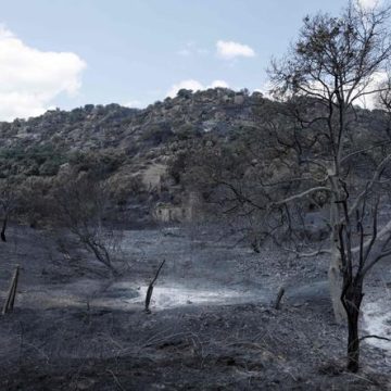 Les incendies en Espagne : Une crise écologique sans précédent