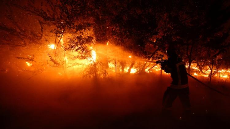 83a46947-bbb5-4b81-84d0-c15e13f545f1 Incendie au Cap-Ferret : Évacuation massive et lutte contre le feu
