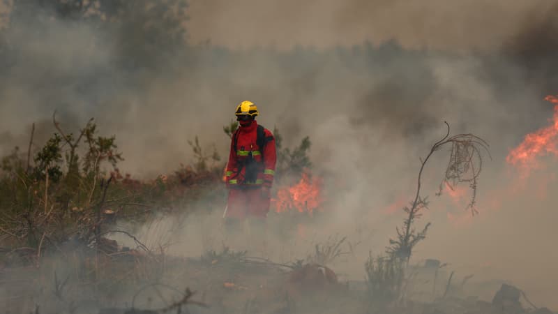86ac7e2a-9978-498e-8eb5-a156abeff114 La France confrontée à des incendies massifs, des milliers d’hectares détruits