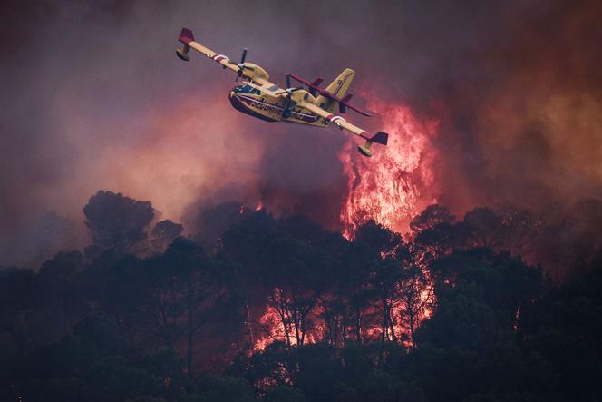 87d87a55-f23b-435a-bf89-aec12ee062c2 Disponibilité réduite des Canadair pour lutter contre les incendies en France