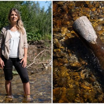 Portrait de Charlène Descollonges et la Renaturation des Cours d&rsquo;Eau