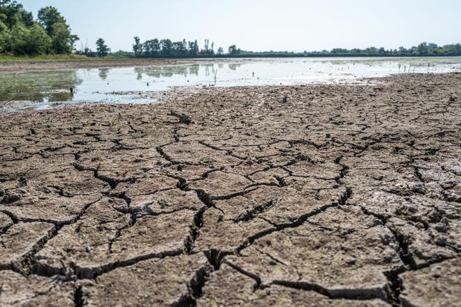 8d634ab3-fdd2-431d-8408-da614ffb48fc Les Enjeux d’un Projet de Loi sur l’Agriculture et l’Eau