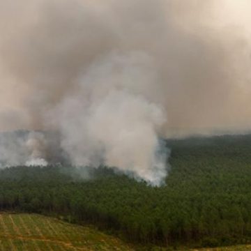 8eb7ff4f-6b58-412d-b3f9-ff374e4e9818 Arrestations en lien avec les incendies en Gironde