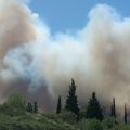 Incendie dans le Gard : situation sous contrôle mais toujours active