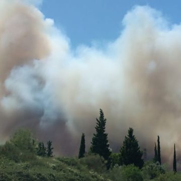 Incendie dans le Gard : situation sous contrôle mais toujours active