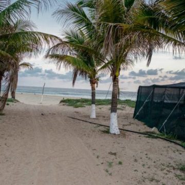 94dfad31-4573-4f00-a1dd-18e6e073e444 Alerte au Tsunami Après un Séisme au Mexique