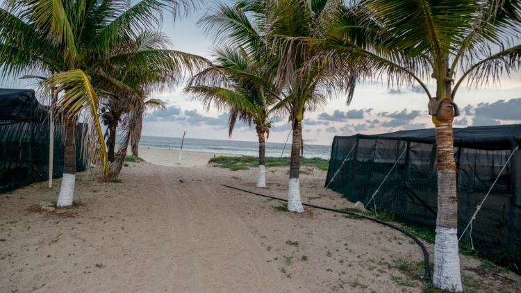 94dfad31-4573-4f00-a1dd-18e6e073e444 Alerte au Tsunami Après un Séisme au Mexique