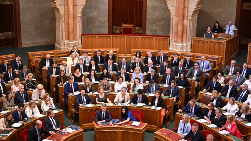 981a75ea-1089-4973-81a3-54d4fa08bce9 Changements politiques en Hongrie : le Premier ministre Peter Magyar renverse l’ancien système