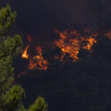 Incendies dans le Var : Faux Appels de Dons en Ligne