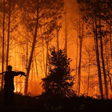 99765031-12df-4402-ab31-ff675768effb Retour effrayant après l’incendie en Gironde