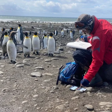 Les îles Kerguelen : Un Voyage Scientifique et Artistique