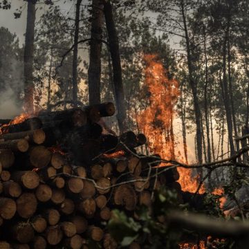9b2a3bd9-5aef-4c83-9211-d96cedd295c0 Les incendies en Espagne et en Gironde : situation actuelle et impact