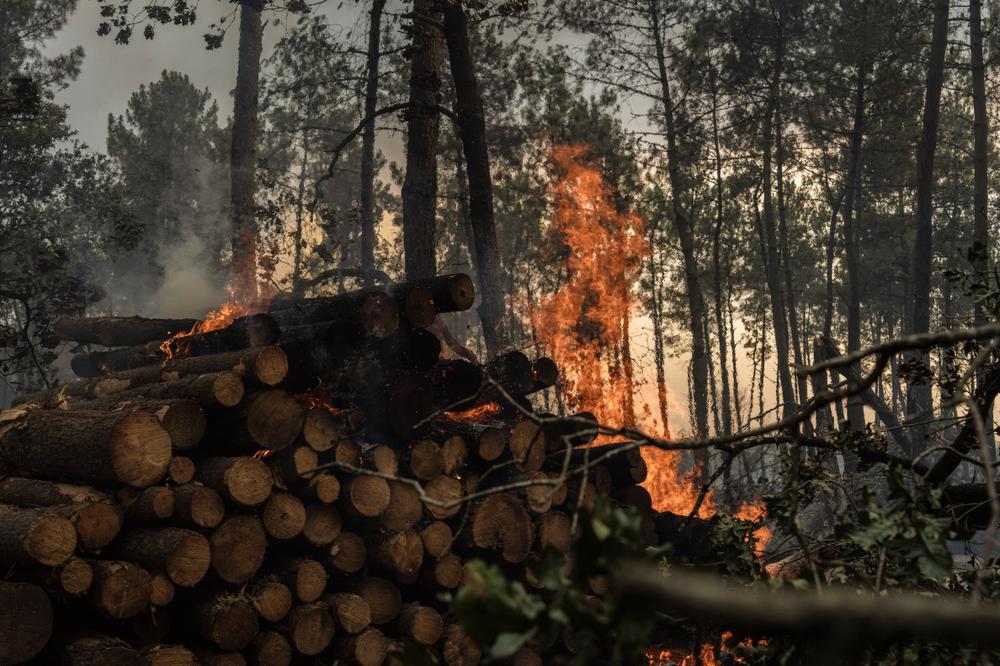 9b2a3bd9-5aef-4c83-9211-d96cedd295c0 Les incendies en Espagne et en Gironde : situation actuelle et impact