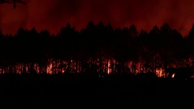9ccc292e-089a-4067-812b-f5b19686e307 Incendies de grande ampleur en Gironde et dans le Var