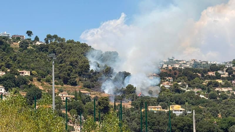9d8b134f-4e17-406d-bf2f-11a22a9b7d1f Incendie de végétation à Saint-Laurent-du-Var