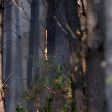 Sanctions sévères pour les incendies volontaires en France