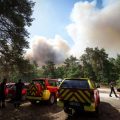 Incendie sans précédent à Fontainebleau : efforts et défis