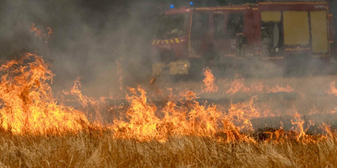 a52e6664-7c97-4249-9f16-a8d94de72067 Intervention des Pompiers pour Contenir un Incendie en Gironde
