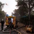 Les Incendies Menacent la Forêt de Fontainebleau