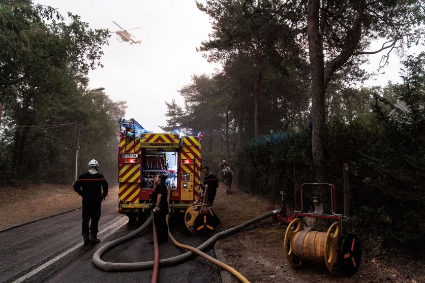 Major wildfire rages in Fontainebleau Forest near Paris Les Incendies Menacent la Forêt de Fontainebleau