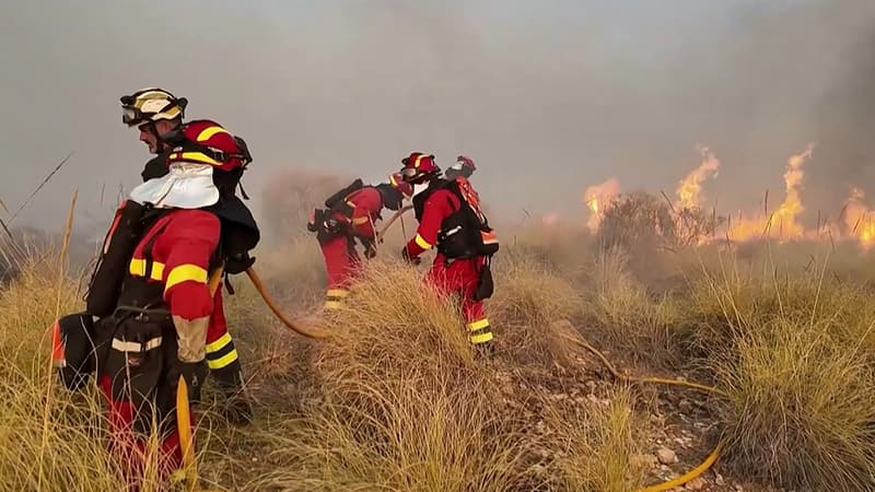 a7e04ae8-7c24-4fef-a7d6-9f7fe100b383 Incendie tragique en Andalousie : Les premières victimes identifiées