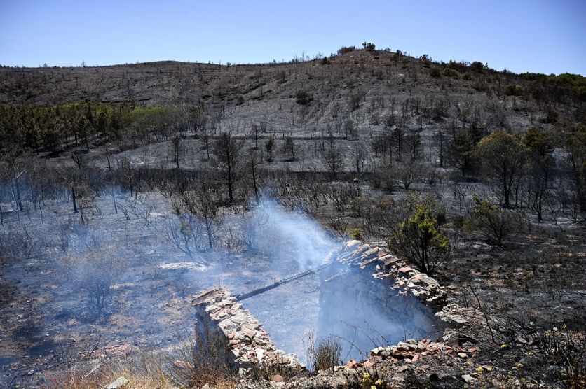 a861a162-f973-42b5-b1c4-11f20bc917ff Les incendies ravageurs dans les Pyrénées-Orientales