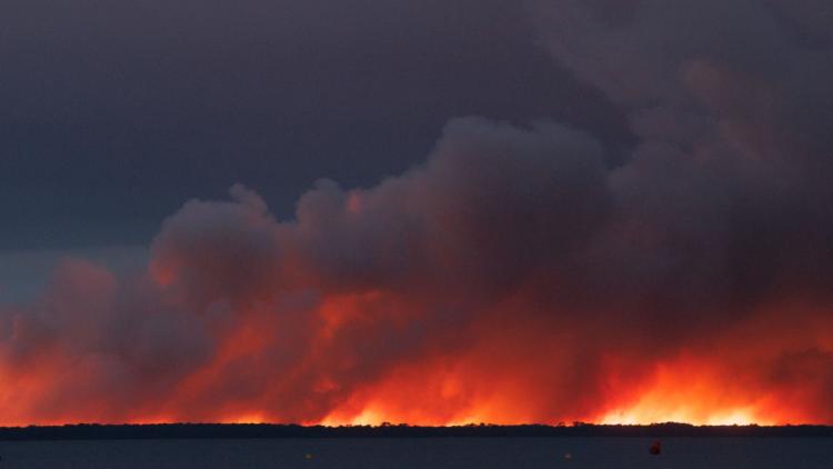 af8bca42-48f4-4a13-9a1f-5c0c3b328950 Incendie dévastateur à Biscarrosse : évacuation massive et chevaux en fuite