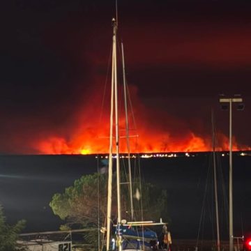 b0666c25-5f5e-48b6-88c1-7d89af55d38a Incendies en France : Bilan et Réactions
