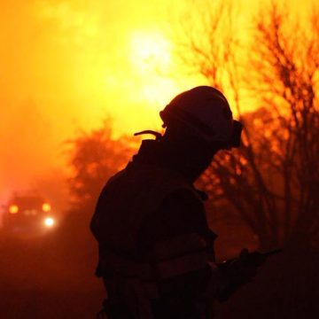 Incendies dans le Sud de la France et en Europe: État des lieux
