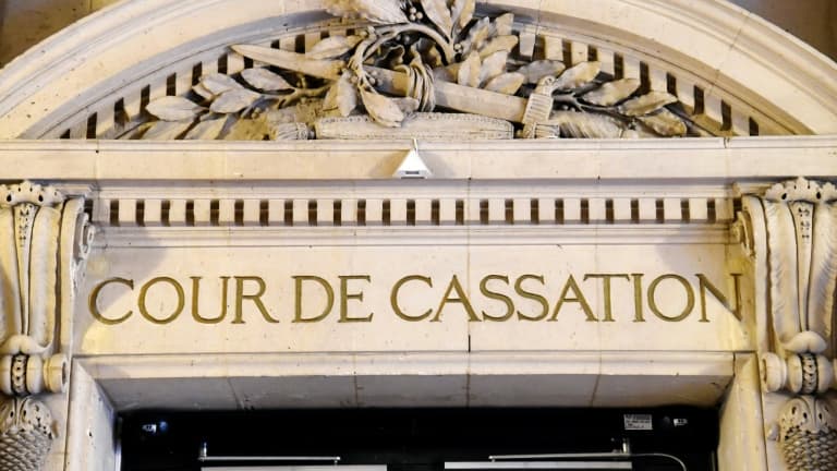 bb7912af-f87b-4bbb-a6da-6384c14e0079 Reconnaissance de la filiation par GPA par la Cour de cassation française