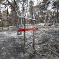 Les causes et auteurs de l’incendie de la forêt de Fontainebleau