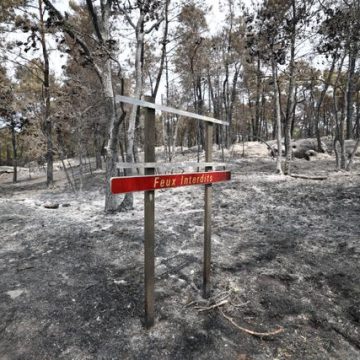 Les causes et auteurs de l&rsquo;incendie de la forêt de Fontainebleau