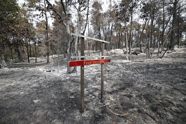 bc5b52c3-6db2-48bf-a2f3-a77539a49e6e Les causes et auteurs de l’incendie de la forêt de Fontainebleau