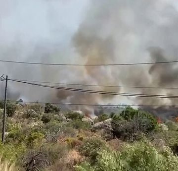 Incendies de Forêt : Un Cercle Vicieux Inquiétant