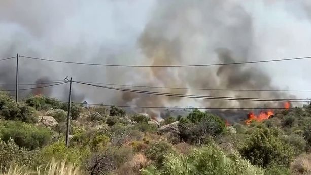 bcf12cdd-b107-4c43-a61b-07d92ac14840 Incendies de Forêt : Un Cercle Vicieux Inquiétant
