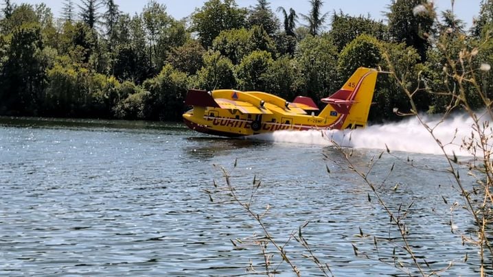 bcf31472-a46f-4ecb-b1f6-c603ba15d4aa Incendies à Fontainebleau : Un regard sur la situation et ses impacts