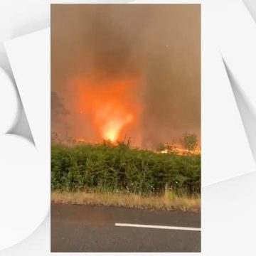 bde517e8-2977-48a3-87d8-6e4c44c865d4 Une tornade de feu observée lors des incendies en Gironde