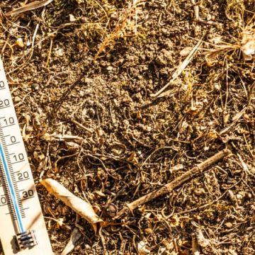 Nouvelle Vague de Chaleur en France : Alerte Canicule