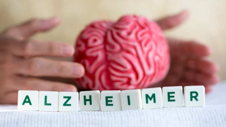 c156b530-d49a-4f71-b049-af2b9d3e8da4 Pourquoi certains cerveaux résistent mieux à la maladie d’Alzheimer