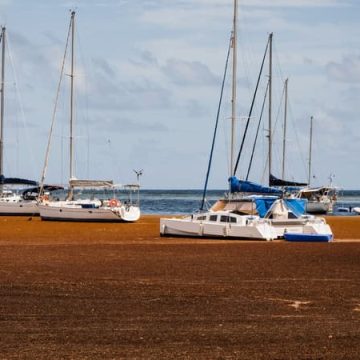 Crise de l&rsquo;eau en Guadeloupe en 2026: un double défi