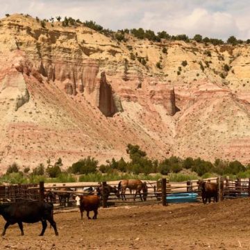 c9fecf31-99cc-435c-822c-92adcd57fae5 Réduction des Zones Protégées en Utah par l’Administration Trump