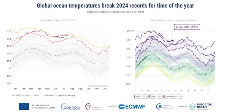 cae354e7-412a-49d0-80b3-5c789d8785c7 Réchauffement de l’Océan : Un Enjeu Majeur pour le Climat