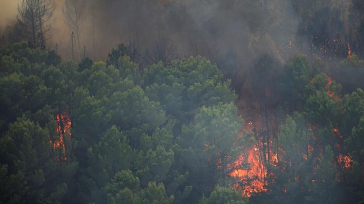 ce8820f6-e26b-4dbd-9075-440ec9f487fd Évacuations massives et lutte intense contre le feu dans le Var