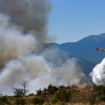 d78c7ad2-3b34-4018-9be7-c21459e7de18 Incendies en France : Situation critique dans le Sud
