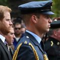 La rupture entre les princes Harry et William : un éloignement persistant