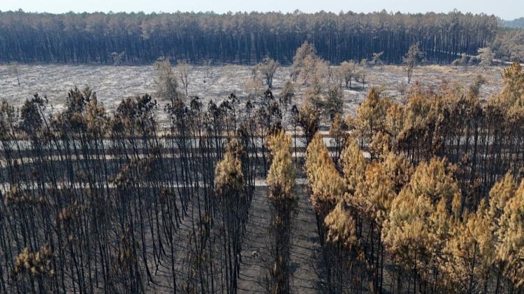 de345ee9-a26f-491e-ad85-5f14bc391e5a Situation des incendies et mesures d’urgence en Gironde et dans le Sud-Ouest de la France